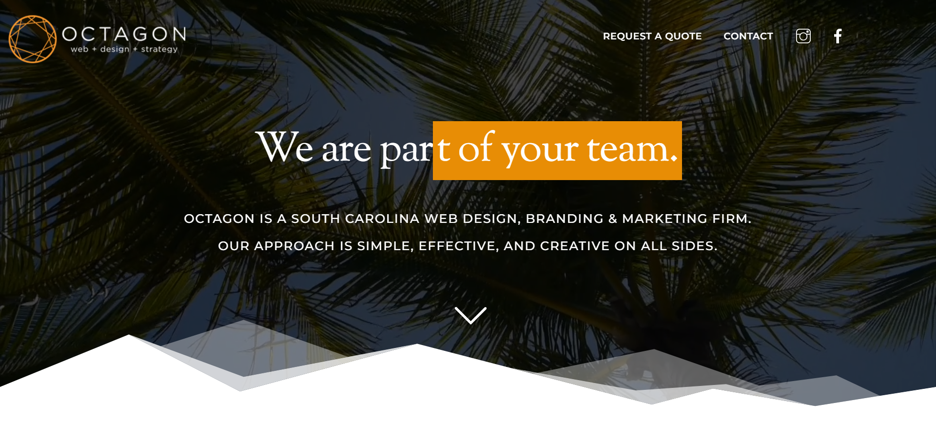 Octagon Solutions Website Design Company